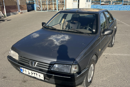 پژو 405 GLX - 1391
