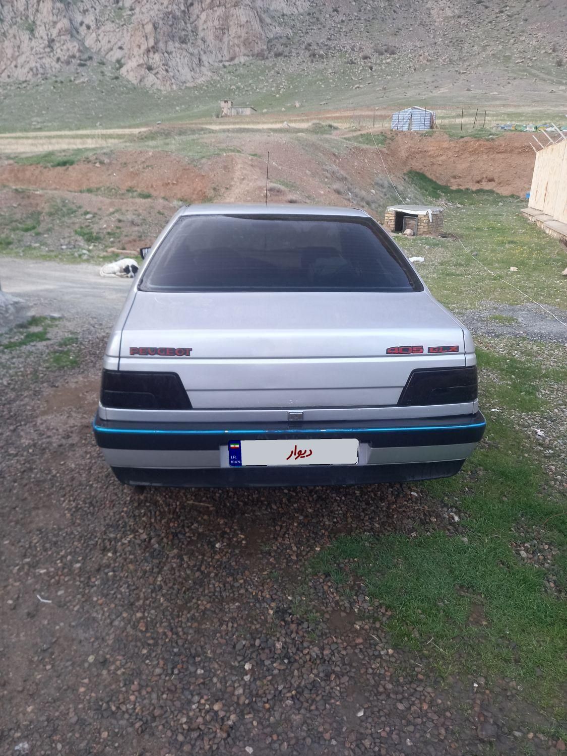 پژو 405 GLX - دوگانه سوز - 1391