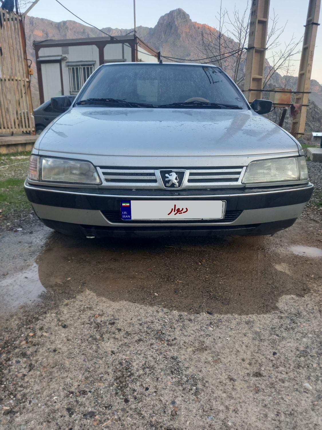پژو 405 GLX - دوگانه سوز - 1391