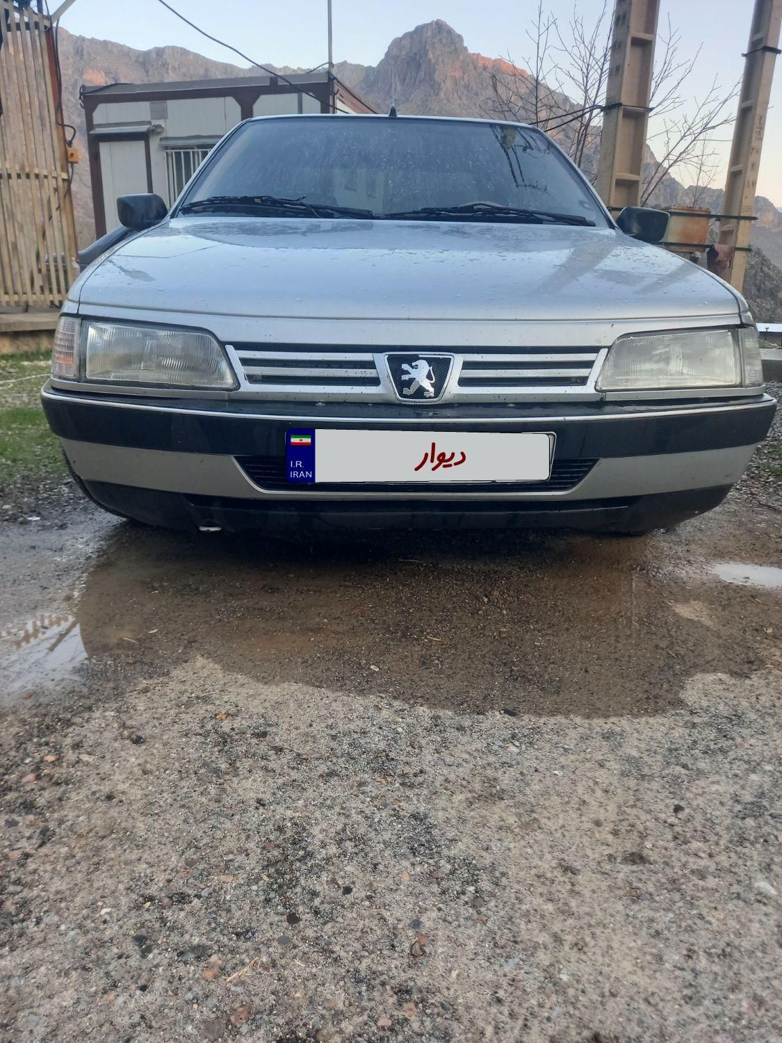 پژو 405 GLX - دوگانه سوز - 1391
