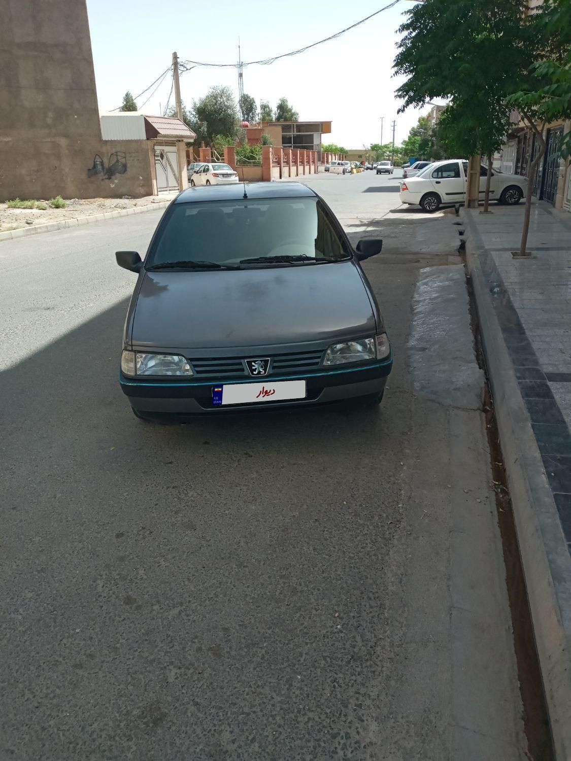 پژو 405 GLX - دوگانه سوز - 1394