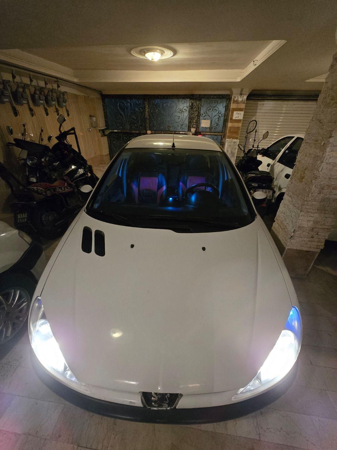 پژو 206 SD v8 - 1390