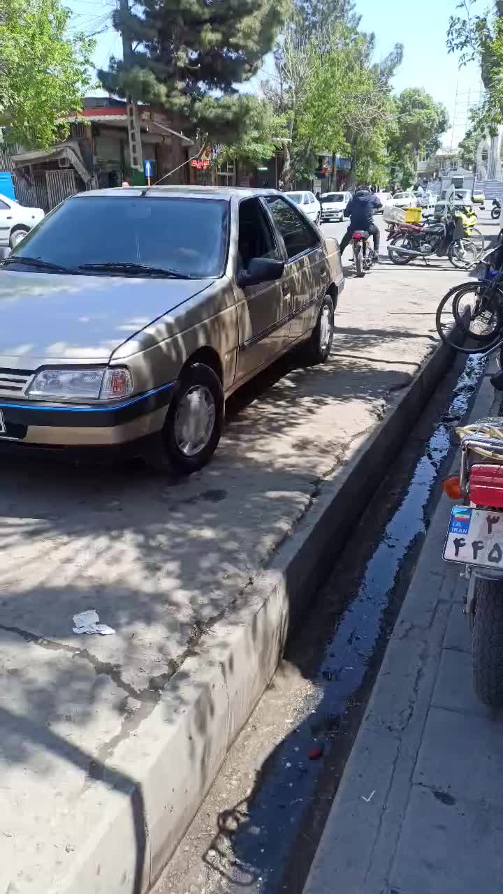 خودرو پژو، 405 آگهی ann_18145570