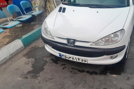 پژو 206 SD v8 - 1395