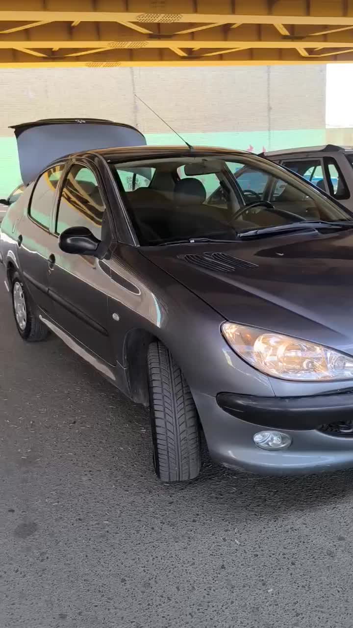 پژو 206 SD v8 - 1388