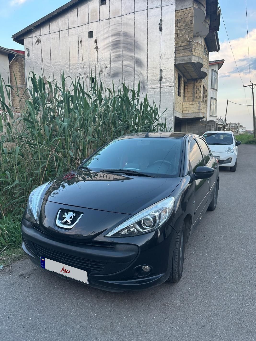خودرو پژو، 207 آگهی ann_18150801