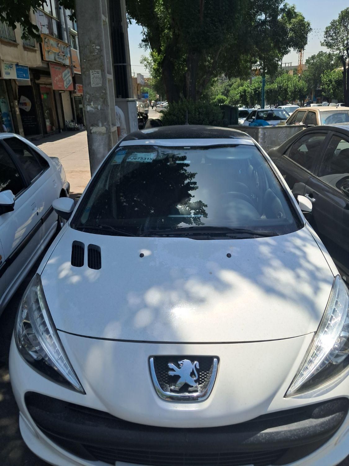 خودرو پژو، 207 آگهی ann_18151055