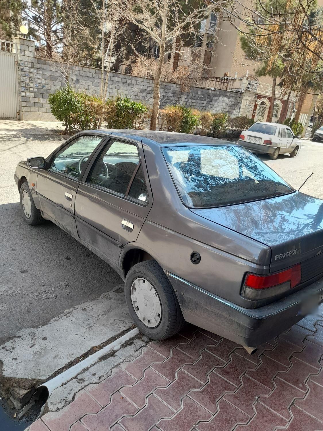 پژو روآ دوگانه سوز - 1388