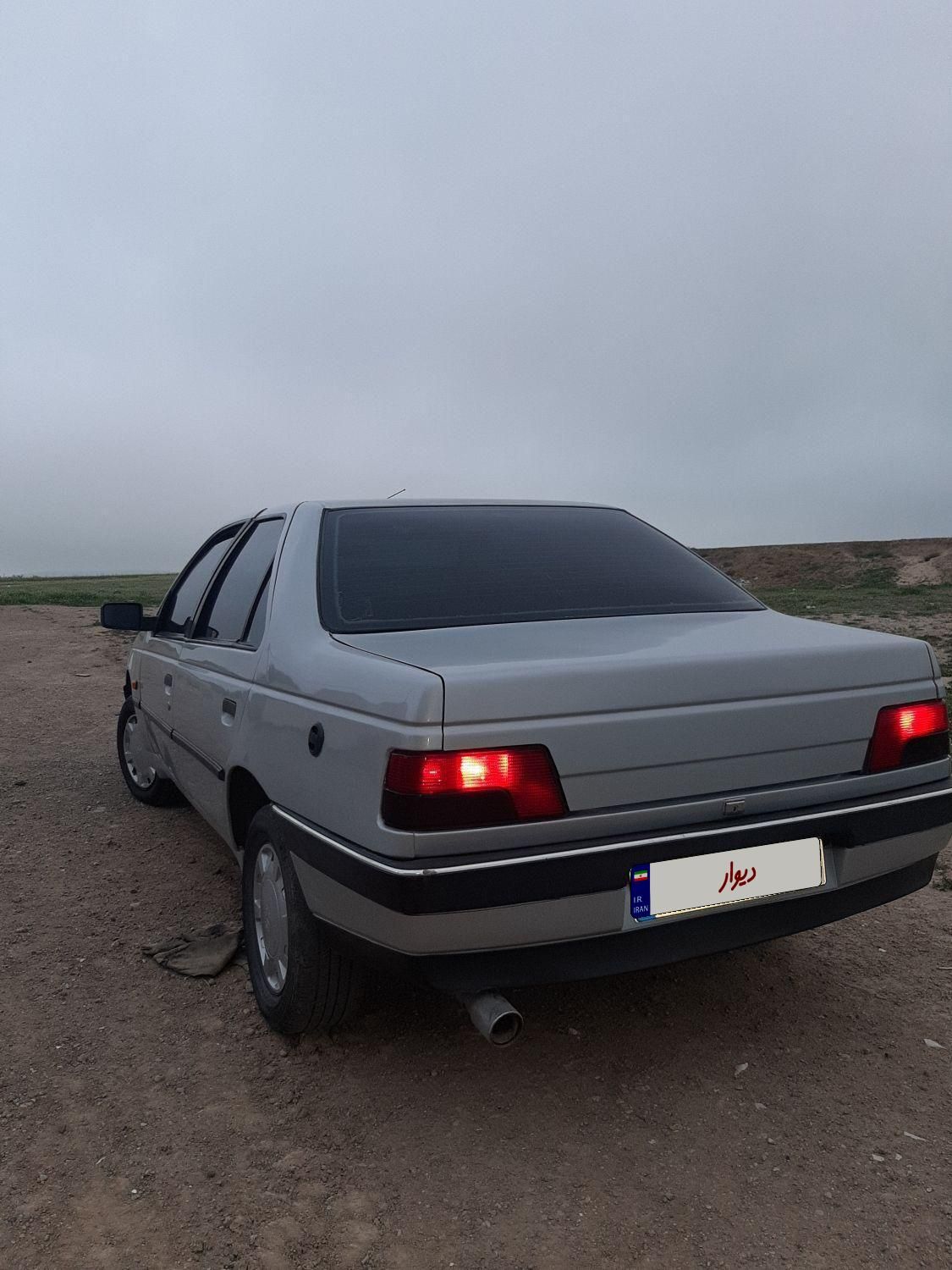 پژو 405 GLX - دوگانه سوز - 1389