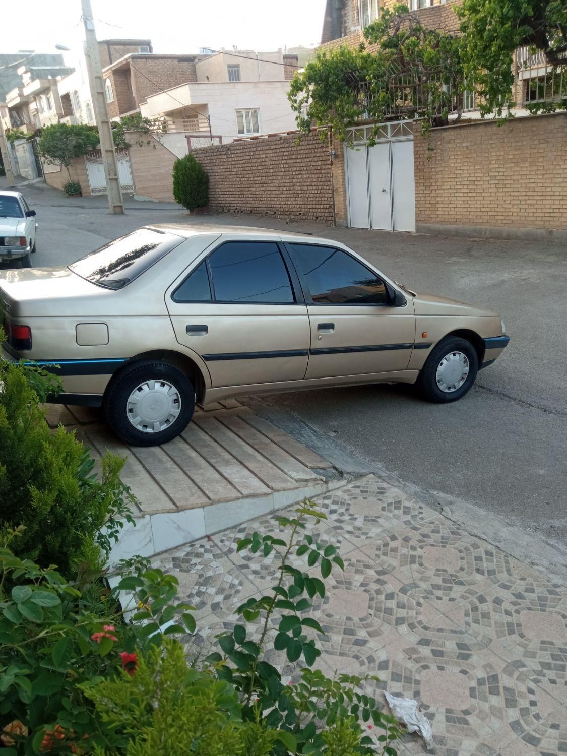 خودرو پژو، 405 آگهی ann_18154964