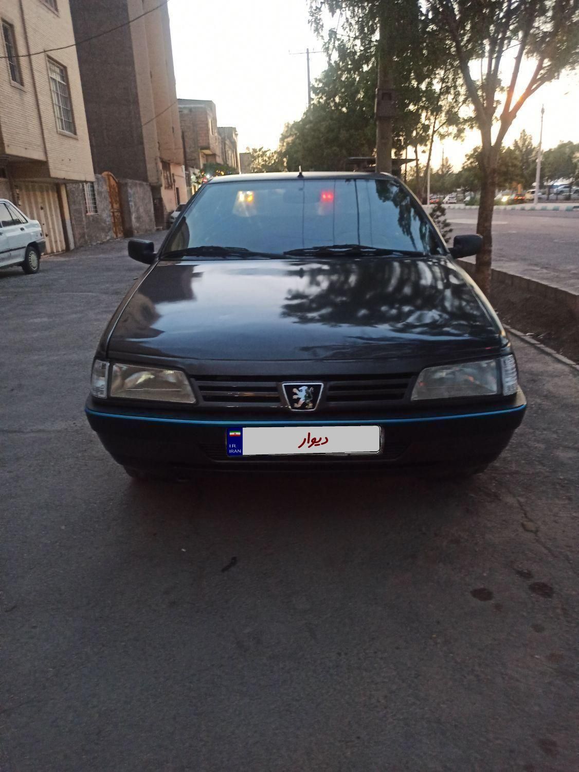 پژو 405 GLX - دوگانه سوز - 1382