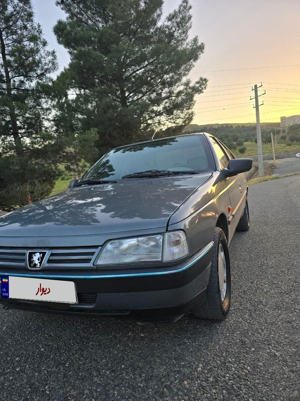 پژو 405 GL - دوگانه سوز CNG - 1373