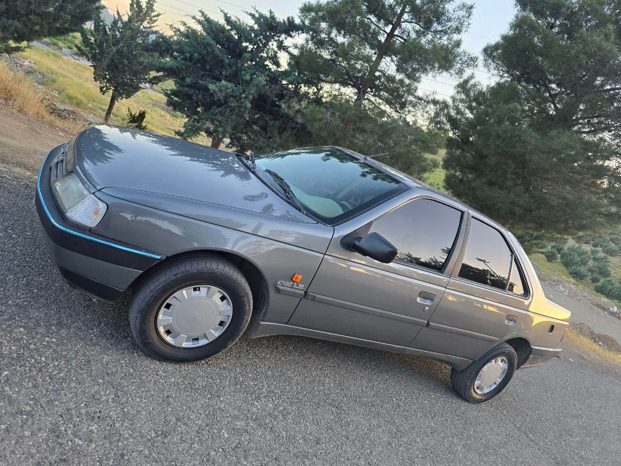 پژو 405 GL - دوگانه سوز CNG - 1373