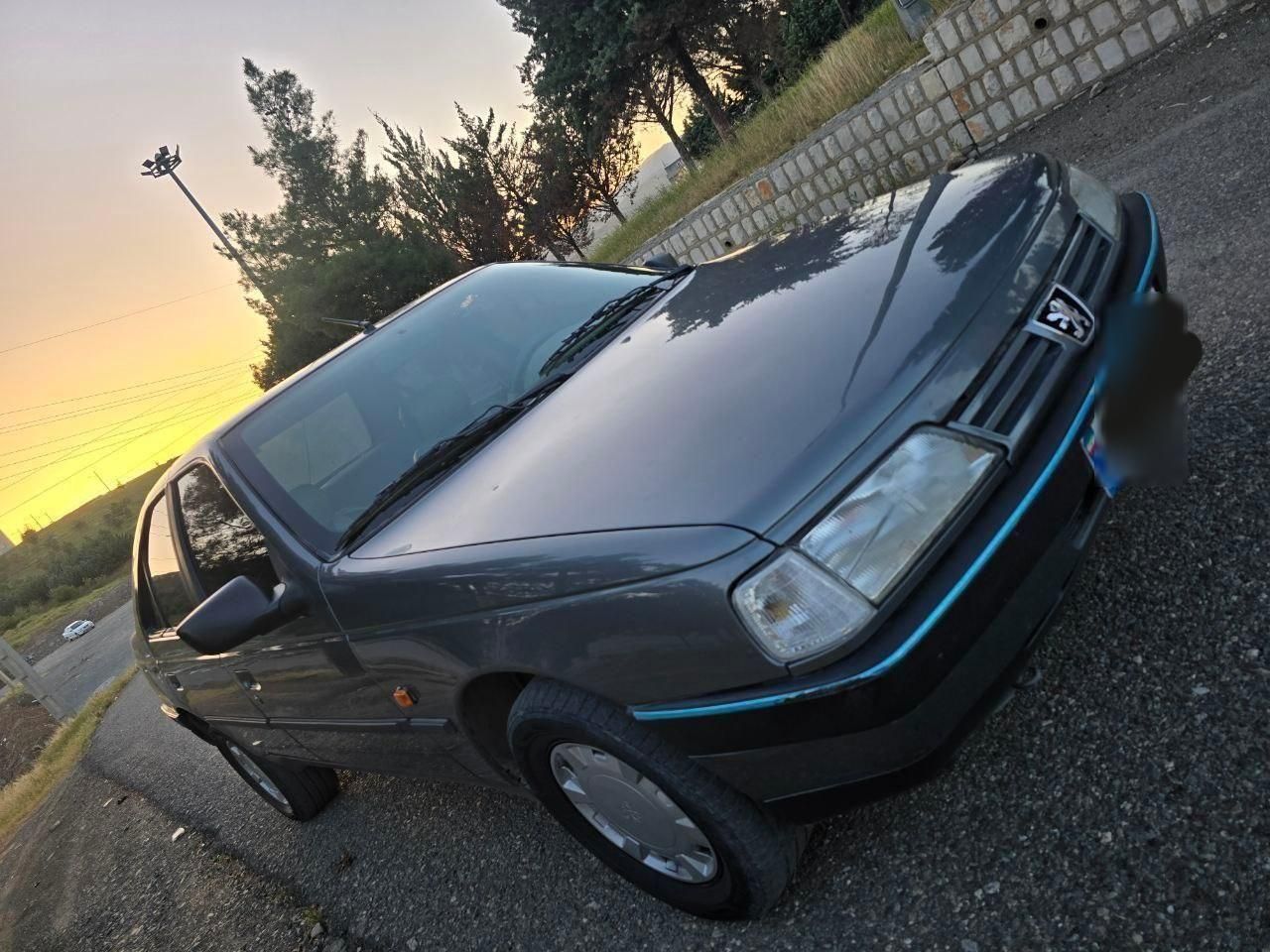 پژو 405 GL - دوگانه سوز CNG - 1373