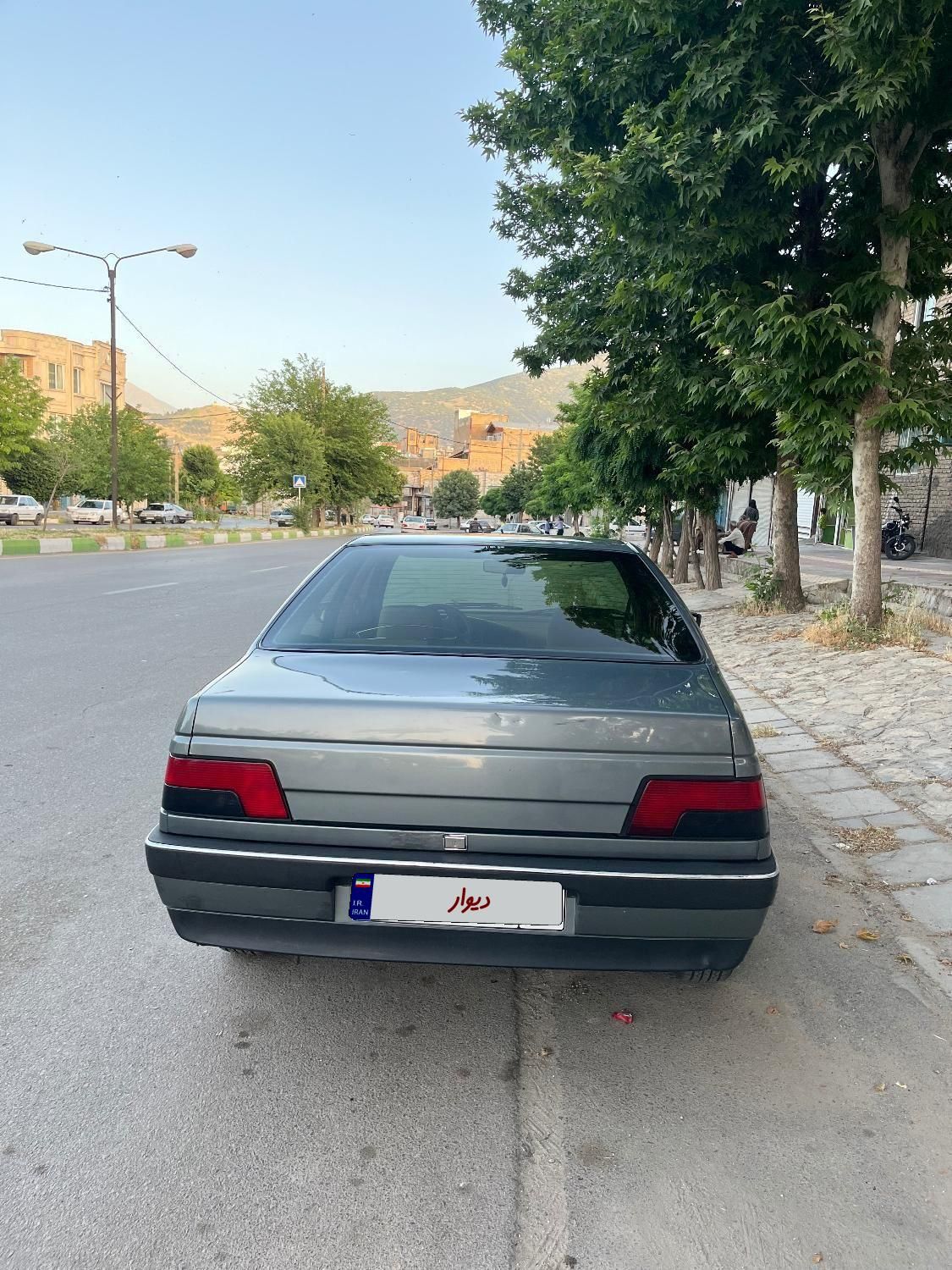 پژو 405 GLX - دوگانه سوز - 1392