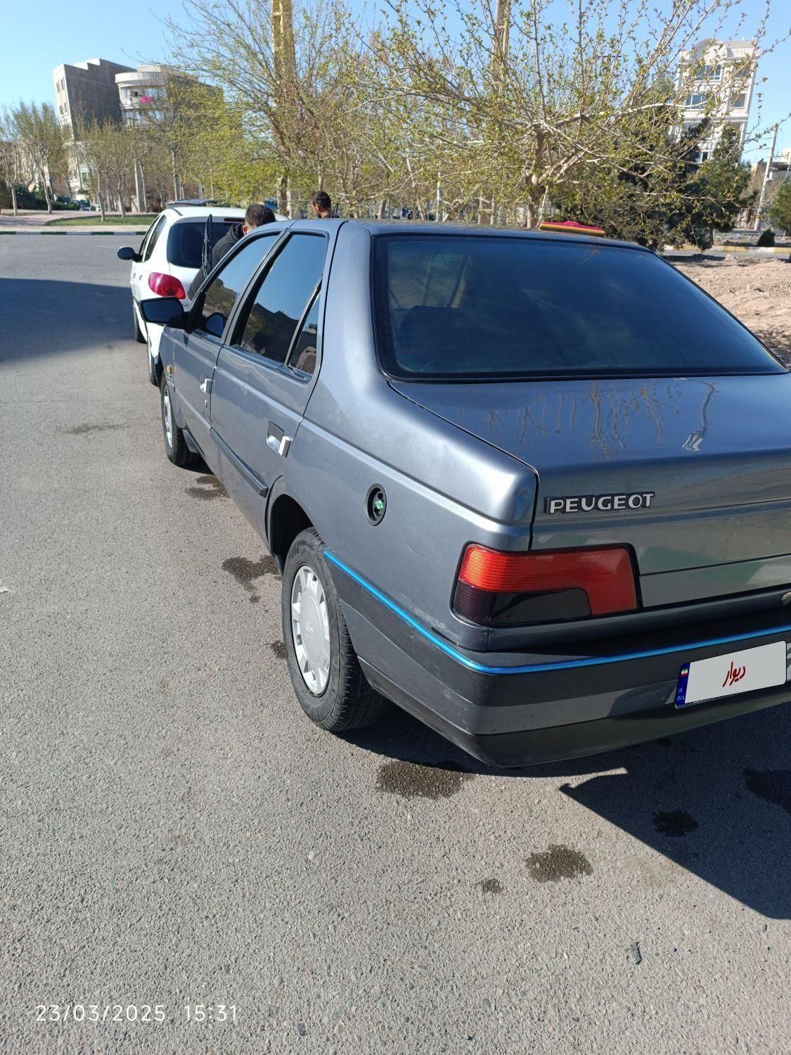 پژو 405 GLX - دوگانه سوز - 1394