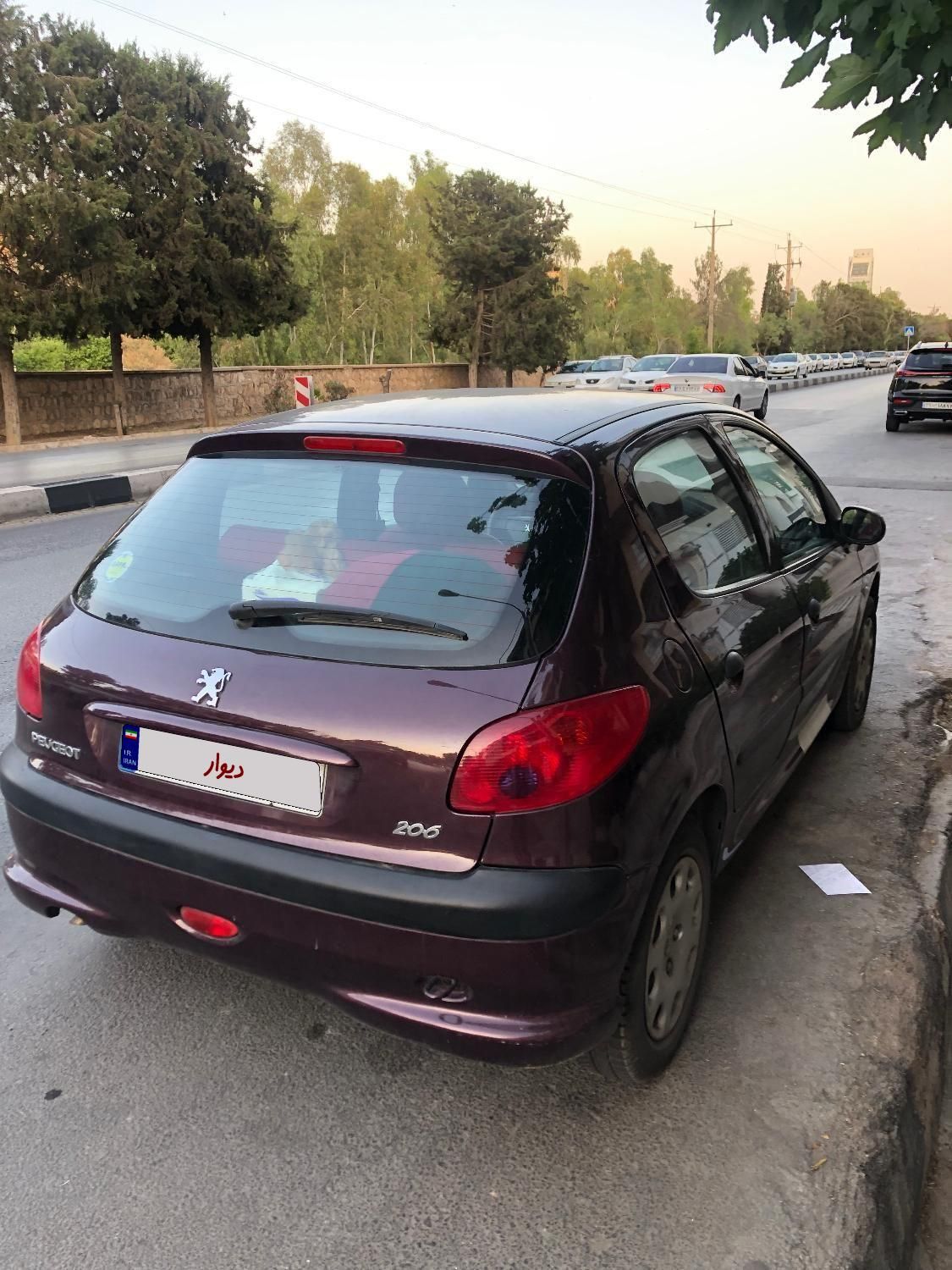 پژو 206 تیپ 2 - 1399