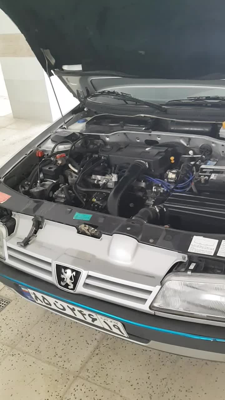 پژو 405 GLX - دوگانه سوز - 1389