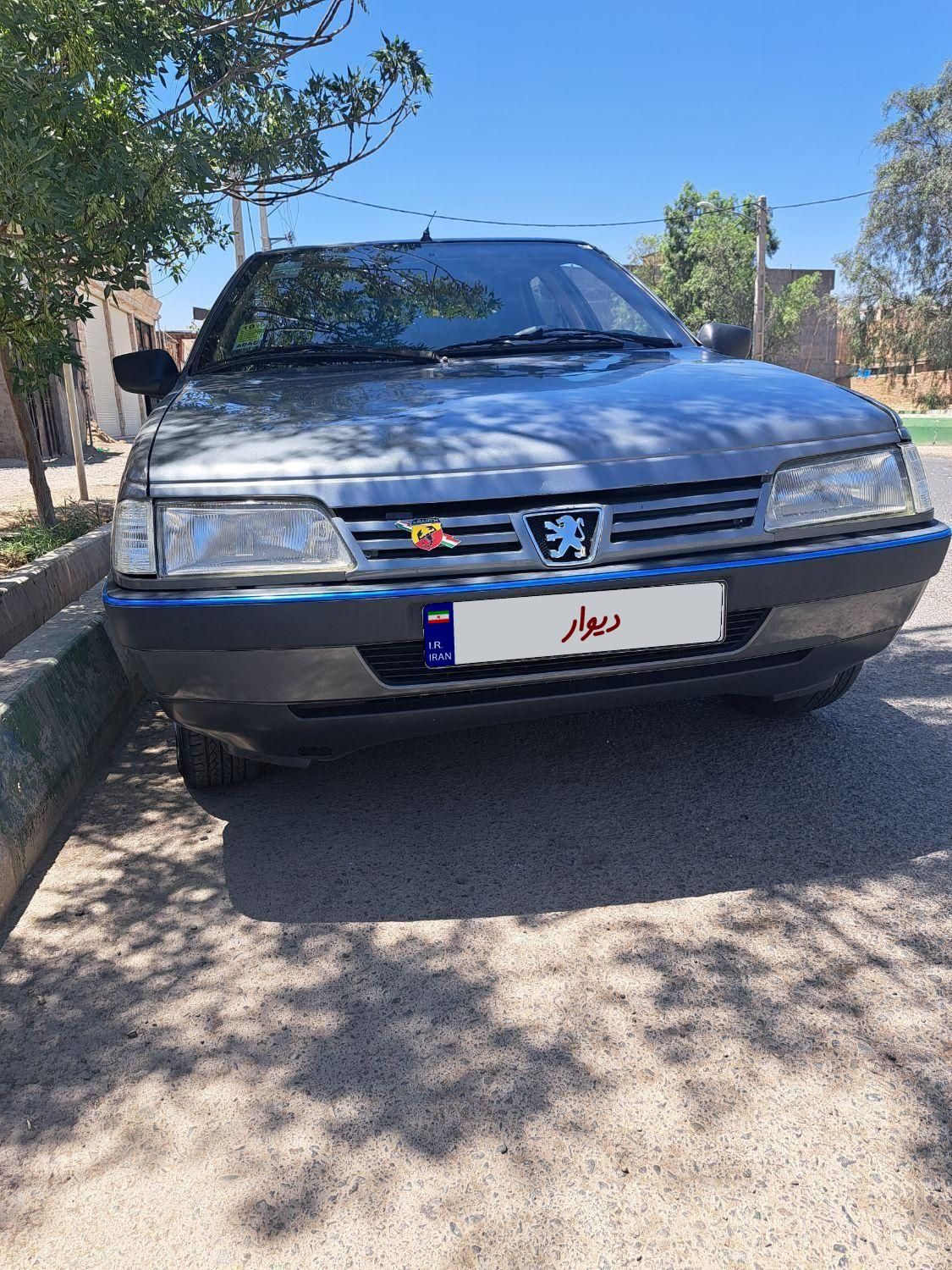 پژو 405 GLX - دوگانه سوز - 1389