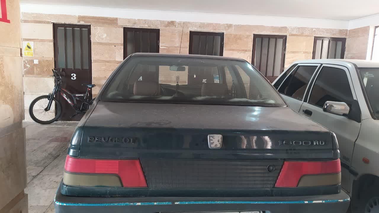 پژو آردی دوگانه سوز CNG - 1382