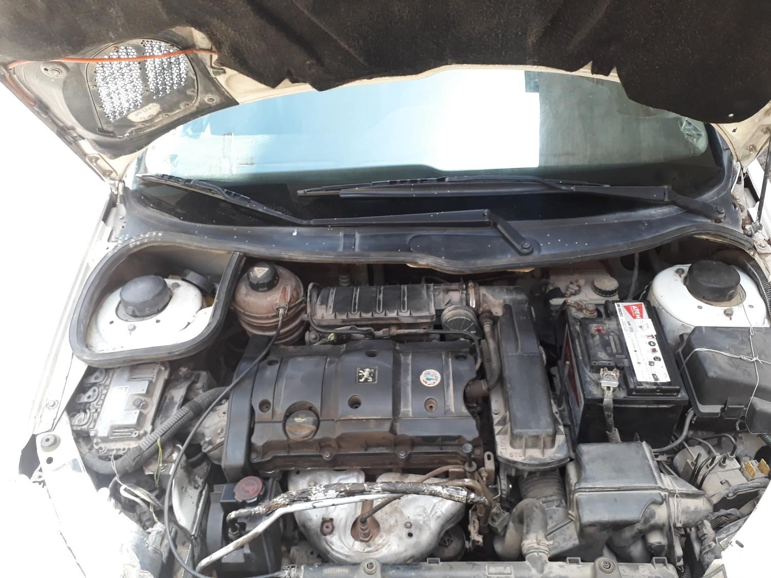 پژو 206 SD v8 - 1387