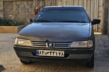 پژو 405 GLX - دوگانه سوز - 1395