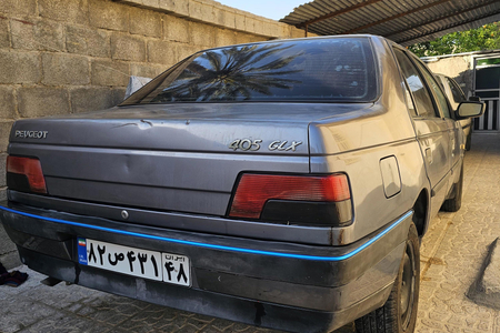 پژو 405 GLX - دوگانه سوز - 1395