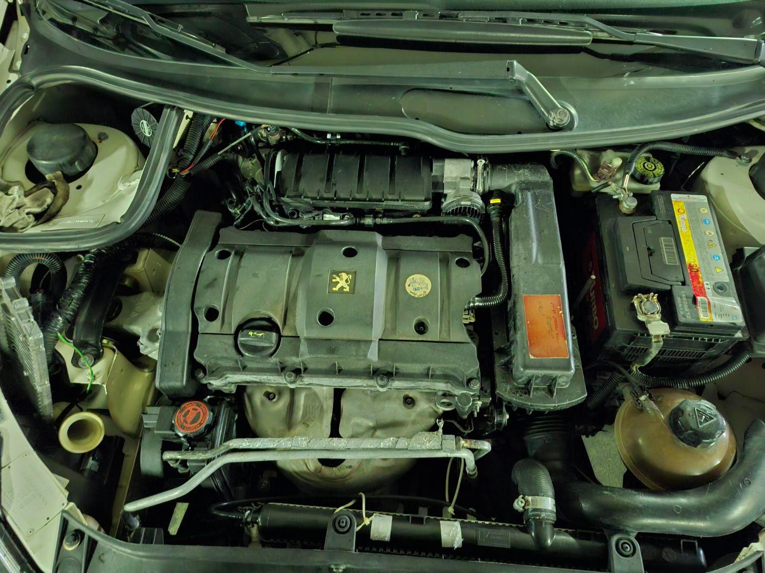 پژو 206 SD v2 - 1387