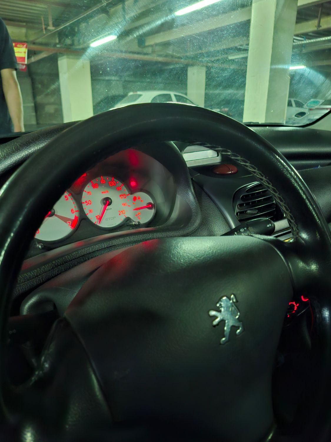 پژو 206 SD v2 - 1387