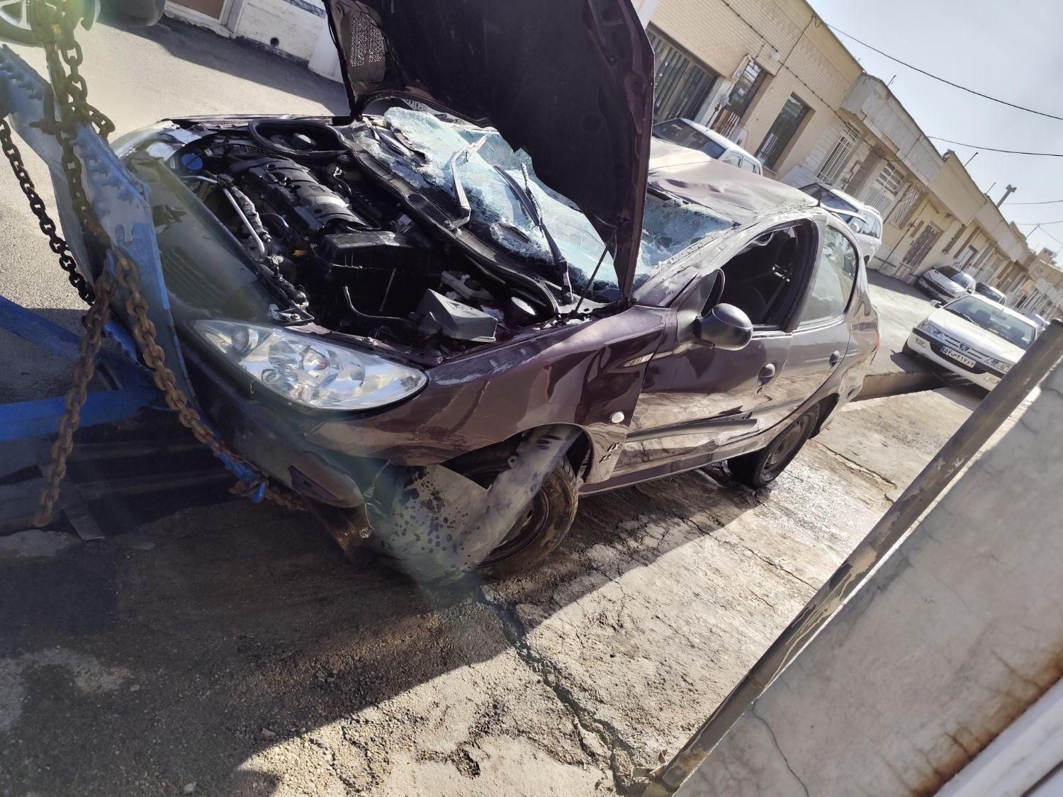 پژو 206 SD v8 - 1390
