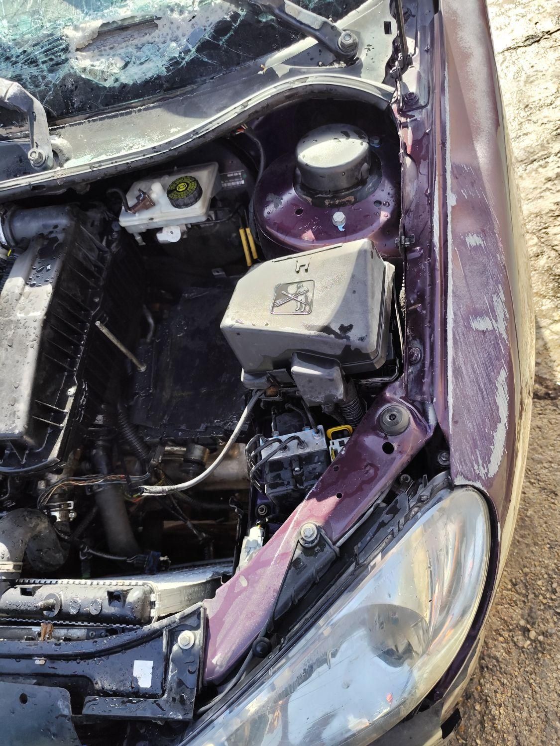 پژو 206 SD v8 - 1390