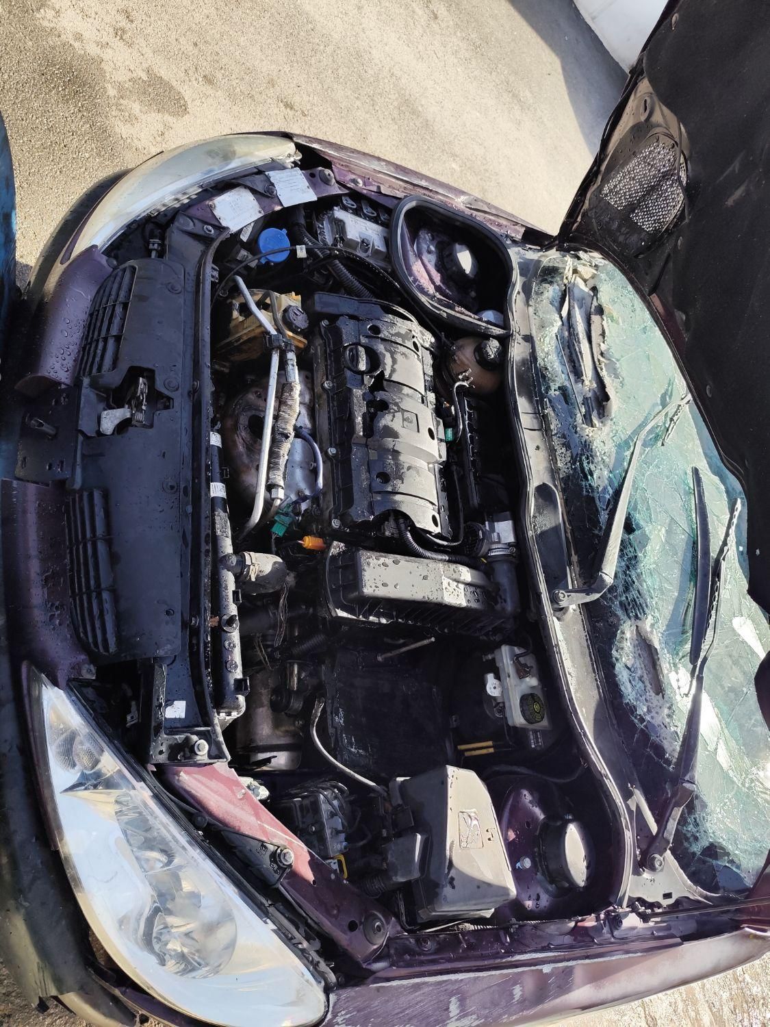 پژو 206 SD v8 - 1390