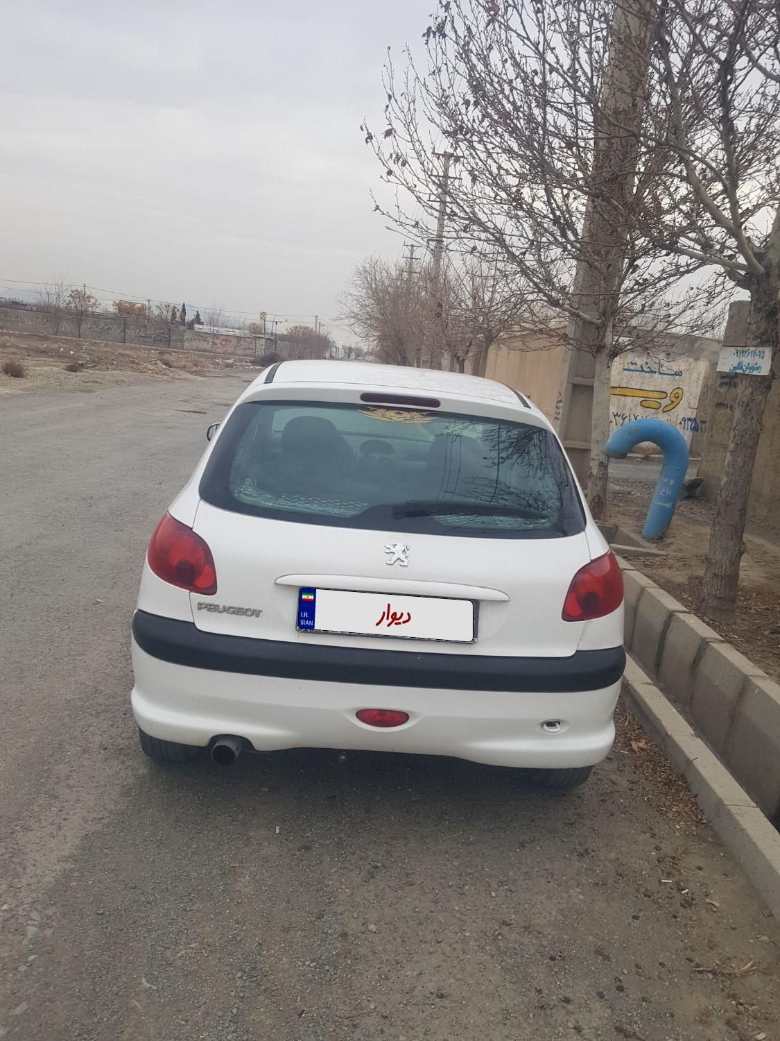 پژو 206 تیپ 2 - 1391