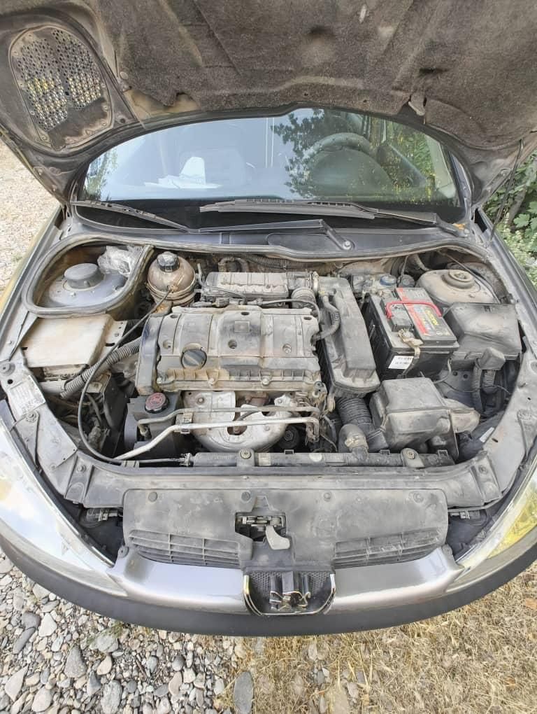پژو 206 SD v8 - 1386