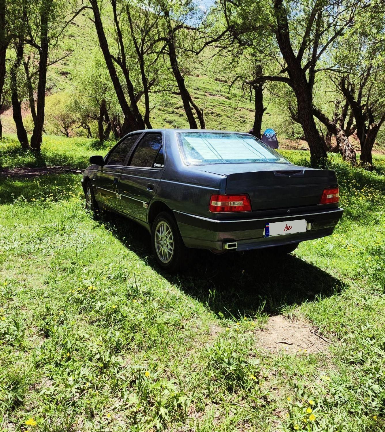 پژو 405 SLX بنزینی TU5 - 1391
