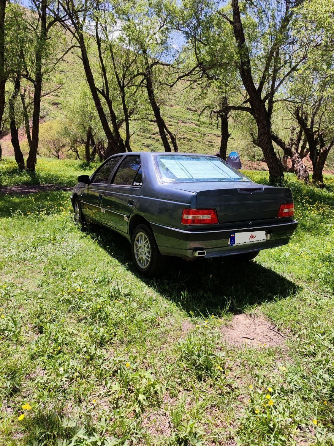 پژو 405 SLX بنزینی TU5 - 1391