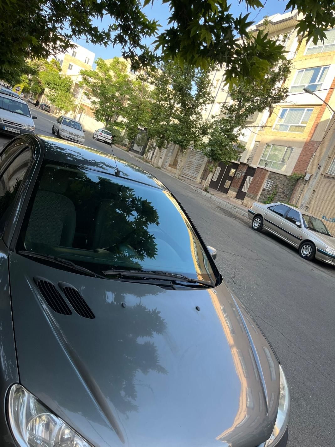 پژو 206 SD v8 - 1396