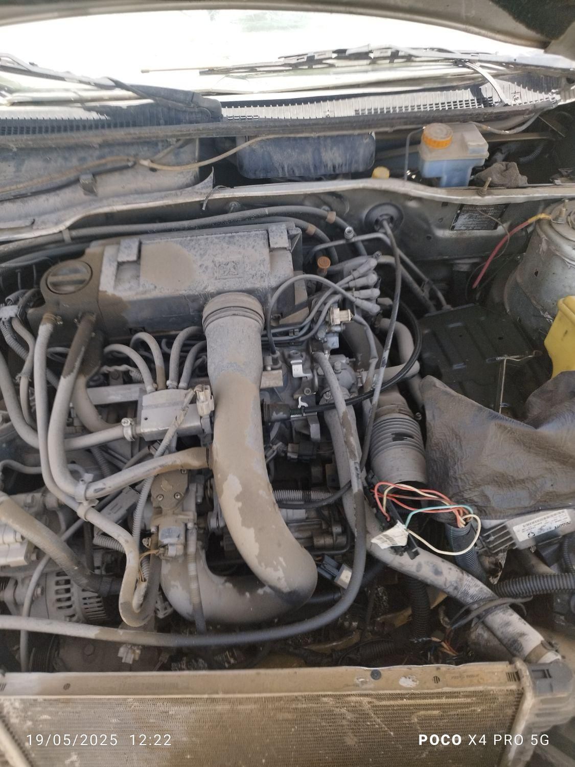 پژو 405 GLX - دوگانه سوز - 1393