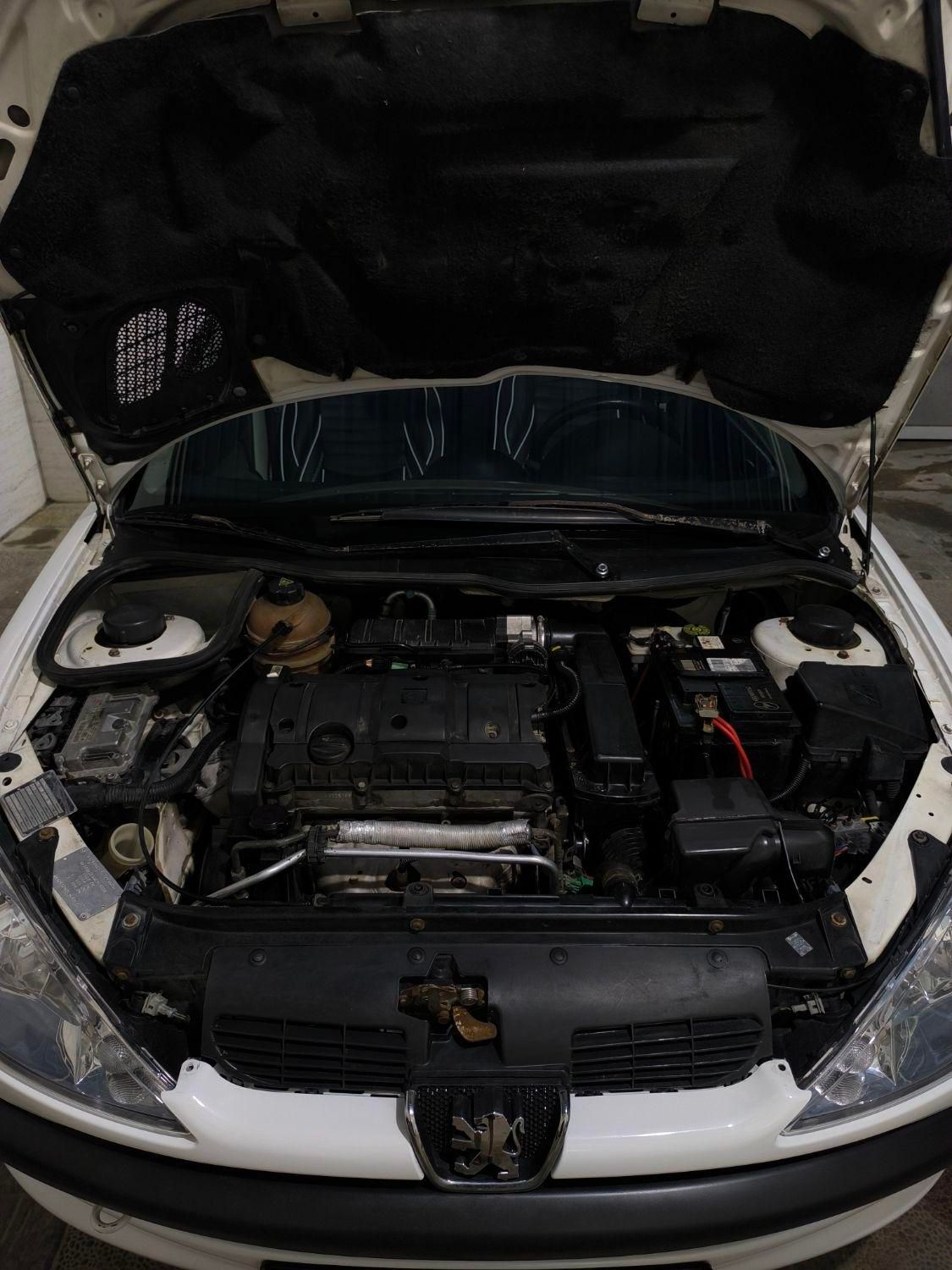 پژو 206 SD v8 - 1391