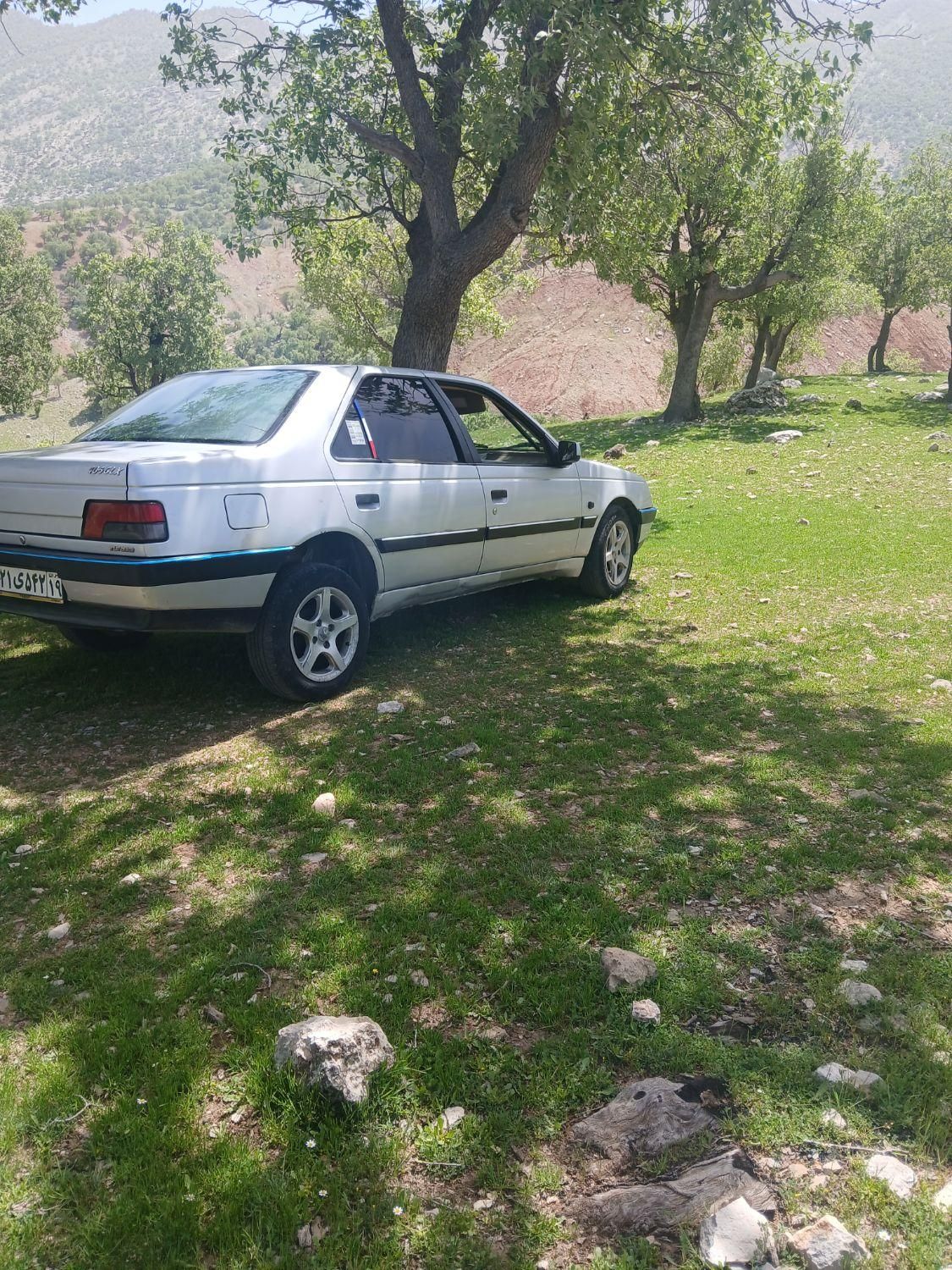 پژو 405 GL - دوگانه سوز CNG - 1371