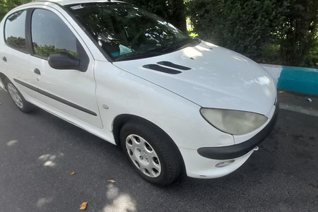 پژو 206 SD v20 - 1390