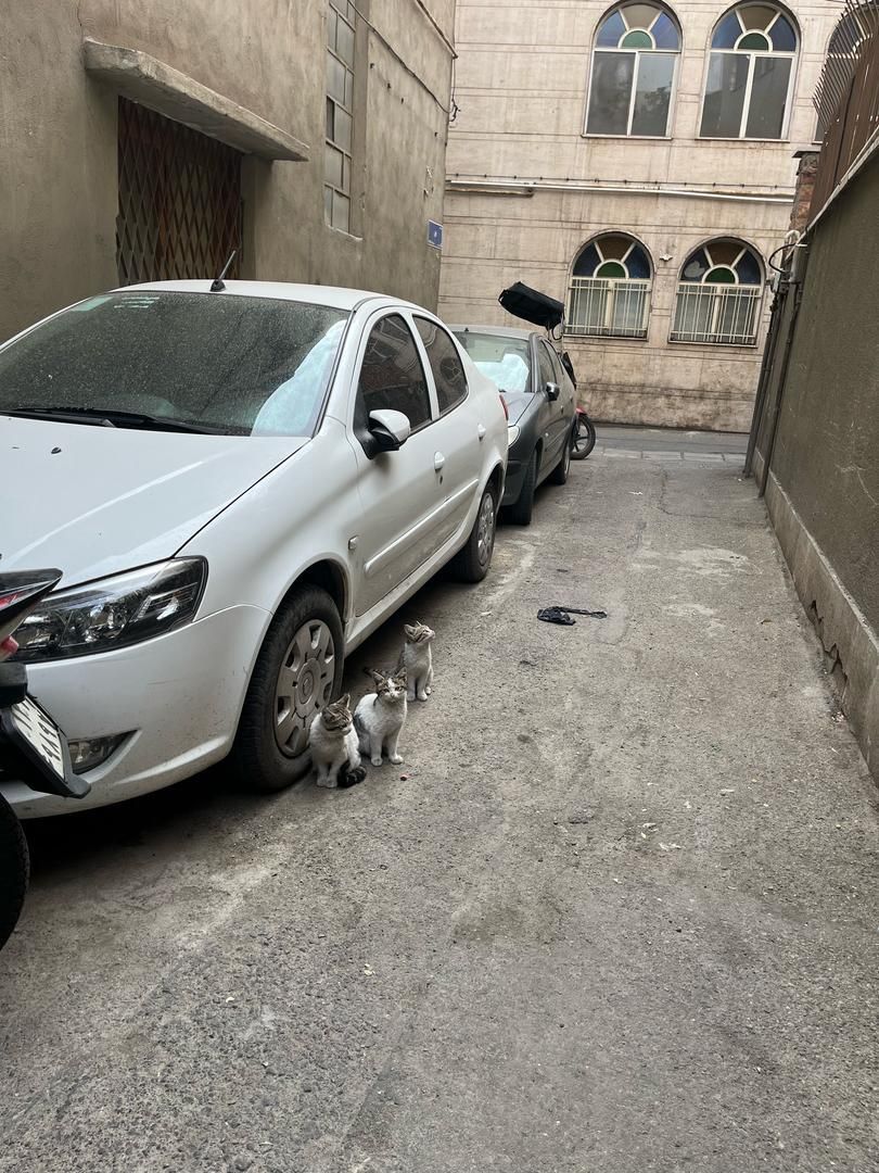 خودرو رانا، پلاس آگهی ann_18184269