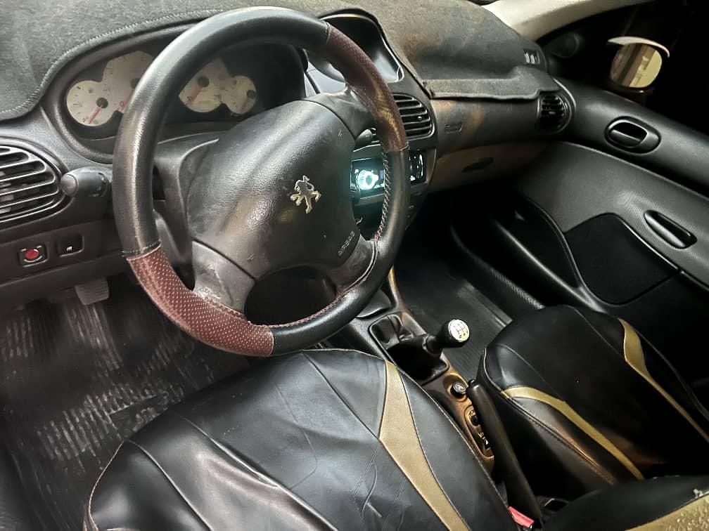 پژو 206 SD v8 - 1391