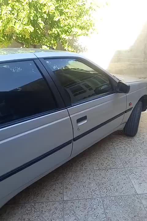 پژو 405 دوگانه سوز GLX - TU5 - 1389