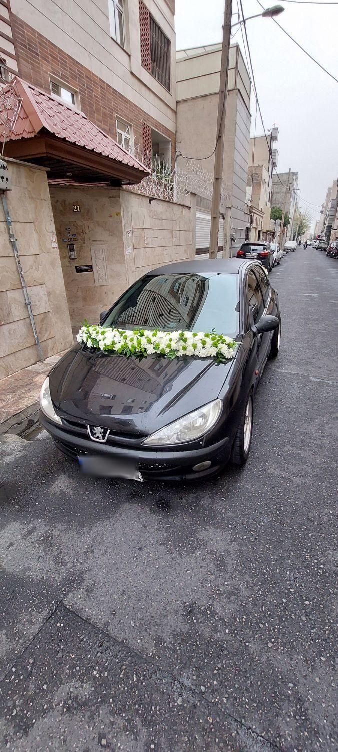 خودرو پژو، 206 آگهی ann_18188612