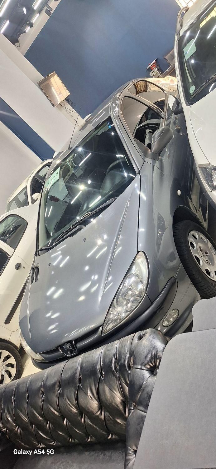 پژو 206 SD v2 - 1390