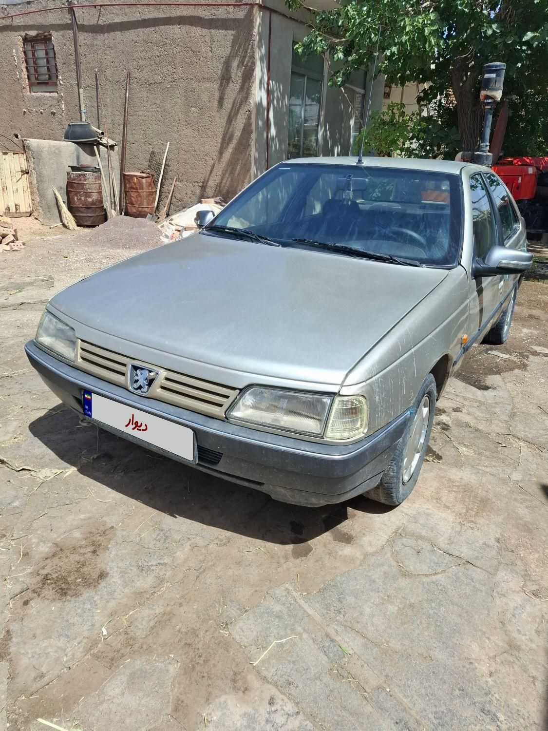 پژو 405 GLX - دوگانه سوز - 1389