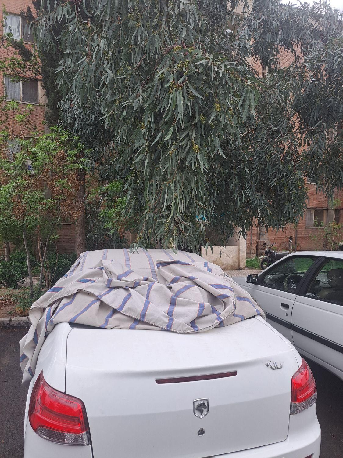 خودرو رانا، پلاس آگهی ann_18192311