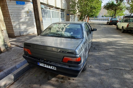 پژو 405 GLX - دوگانه سوز - 1390