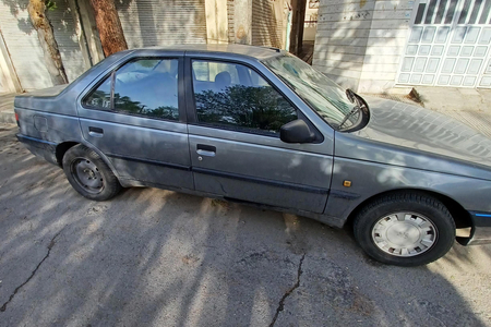 پژو 405 GLX - دوگانه سوز - 1390